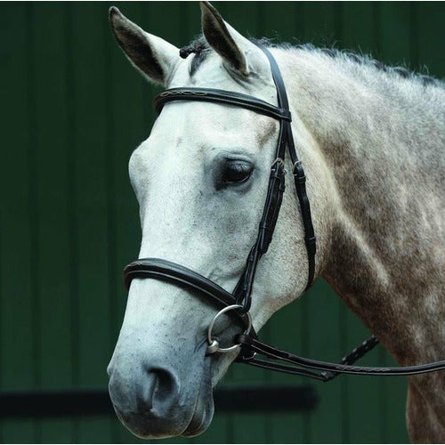 Collegiate Essential Padded Raised Fancy Stitched Cavesson Bridle-Brown