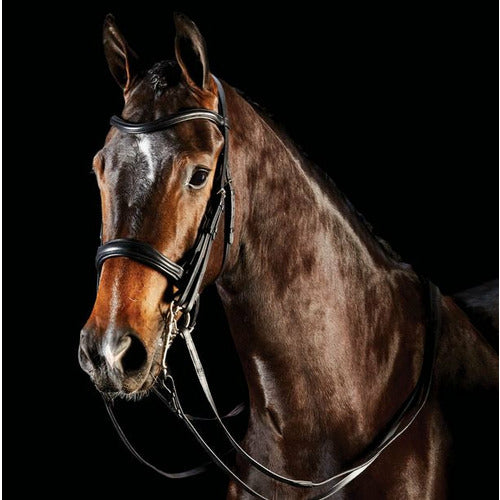 Collegiate Comfitec Weymouth Bridle-Black