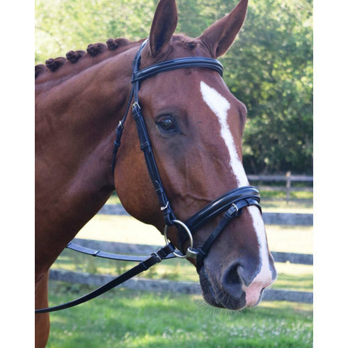 Black Oak by KL Select Juniper Dressage Bridle