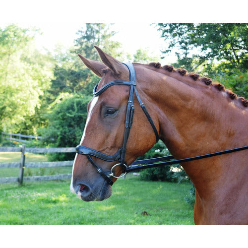 KL Select Red Barn Arena Ergonomic Bridle-CLOSEOUT