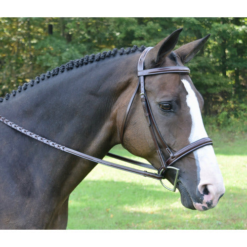 KL Select Red Barn Spirit Hunter Bridle