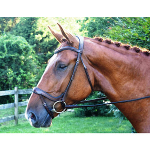 KL Select Red Barn Arena Ergonomic Bridle