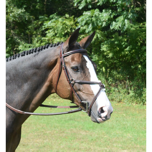 KL Select Red Barn Equinox Eventing Figure 8 Bridle