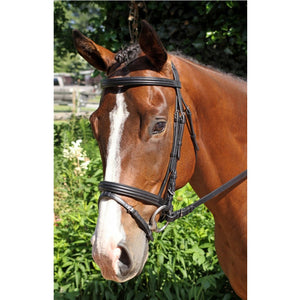 Nunn Finer Gifted Bridle