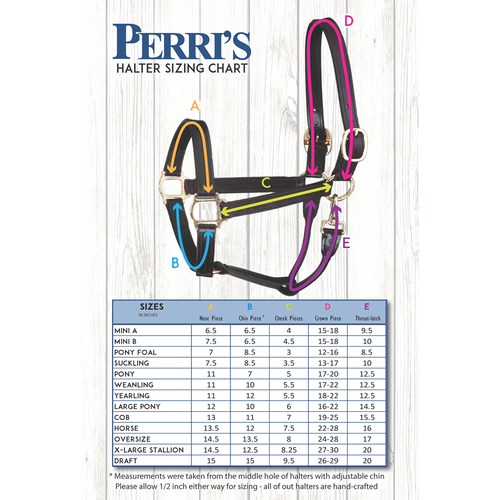 Perri's Leather Ribbon Safety Halter
