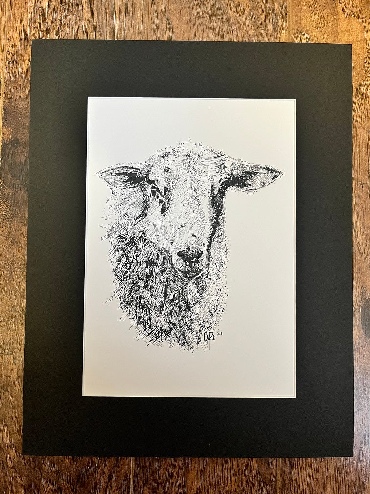 Pen & Ink Matted Print - Sheep SALE