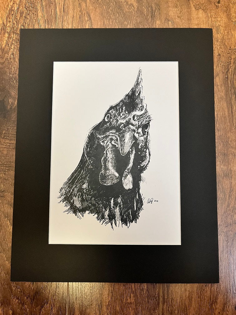 Pen & Ink Matted Print - Chicken SALE