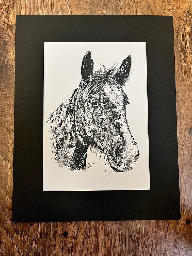 Pen & Ink Matted Print - Horse SALE