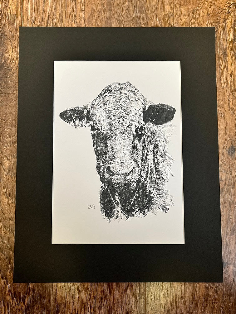 Pen & Ink Matted Print - Cow SALE