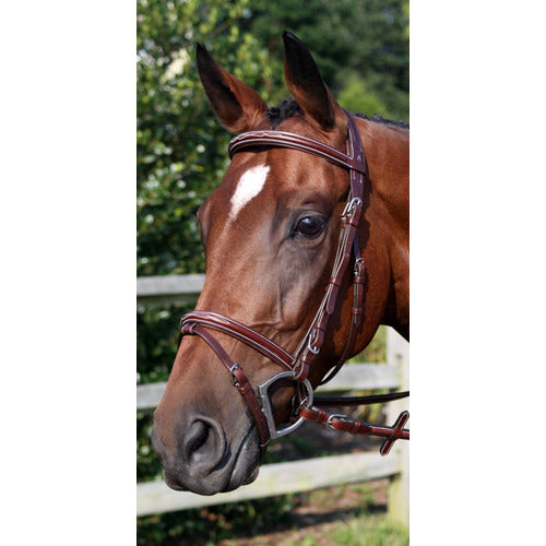 Nunn Finer Modena Bridle