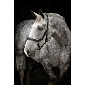 Horseware Rambo Micklem Halter