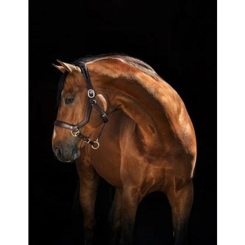 Horseware Rambo Micklem Halter