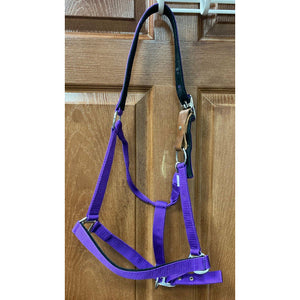 GENTLY USED-Centaur Solid Cushion Padded Breakaway Halter