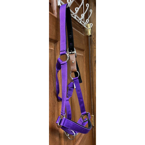 GENTLY USED-Centaur Solid Cushion Padded Breakaway Halter
