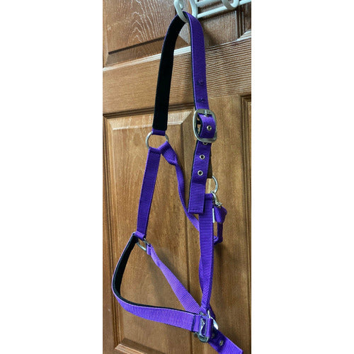 GENTLY USED-Centaur Solid Cushion Padded Breakaway Halter