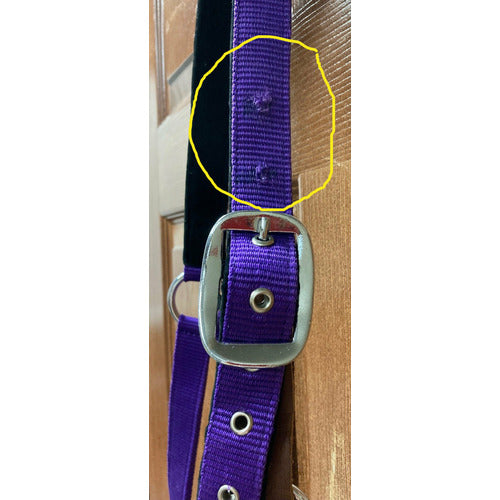GENTLY USED-Centaur Solid Cushion Padded Breakaway Halter