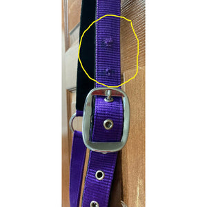 GENTLY USED-Centaur Solid Cushion Padded Breakaway Halter