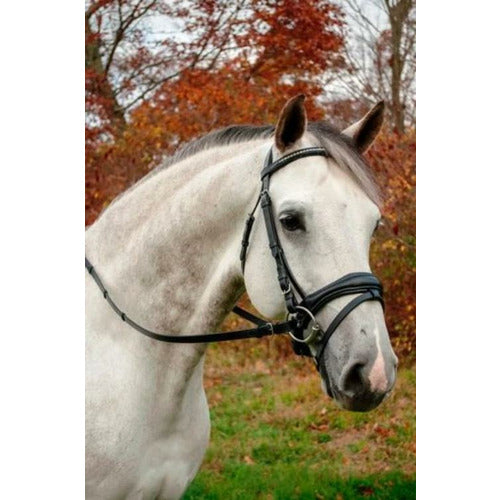 KL Select Red Barn Piaffe Dressage Bridle
