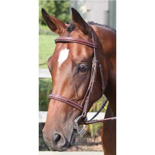 Nunn Finer The Ravenna Bridle