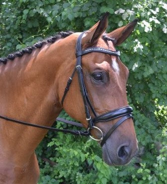 KL Select Red Barn Topline Dressage Bridle