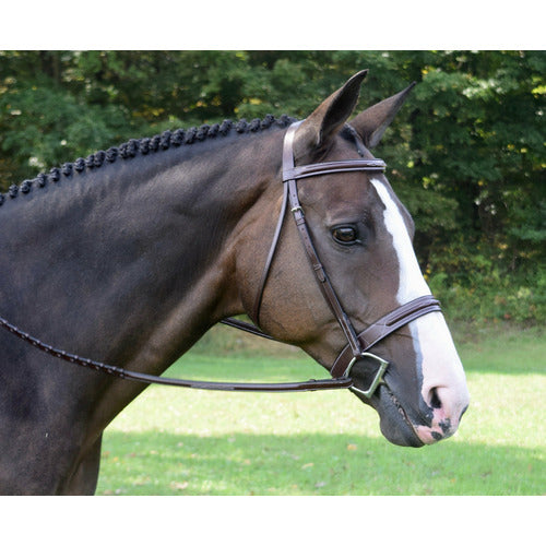 KL Select Red Barn Sonoma Hunter Bridle