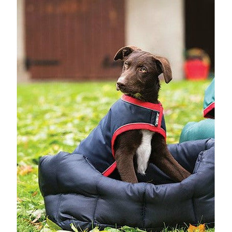 Horseware Ireland Rambo Waterproof Dog Blanket