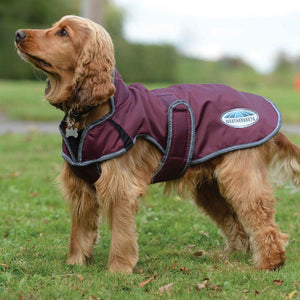 Weatherbeeta ComFiTec Windbreaker Free Deluxe Dog Coat FREE GIFT WITH PURCHASE