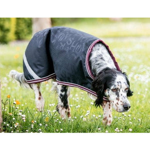 Horseware Amigo Ripstop Dog Blanket 100g CLOSEOUT