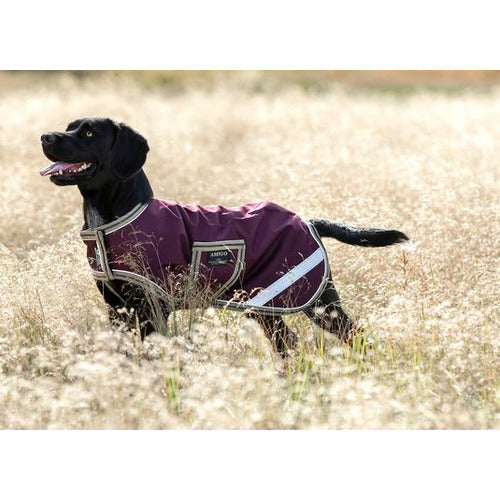 Horseware Amigo Ripstop Dog Blanket 100g CLOSEOUT