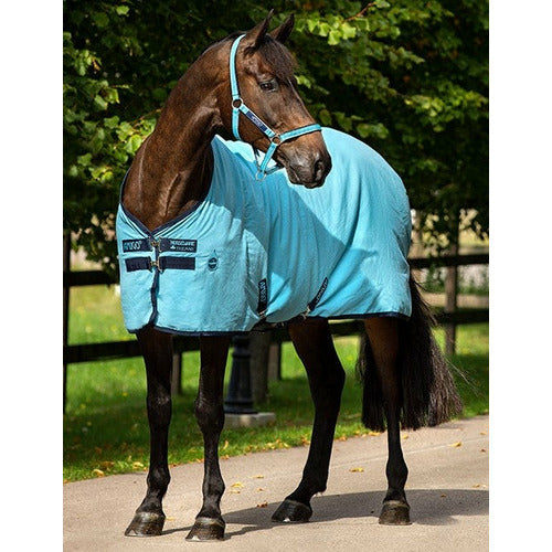 Horseware Amigo Stable Sheet CLOSEOUT