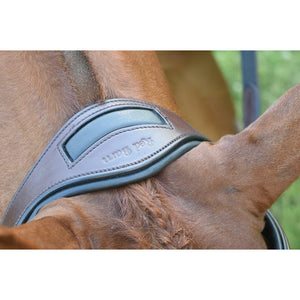 KL Select Red Barn Arena Ergonomic Bridle