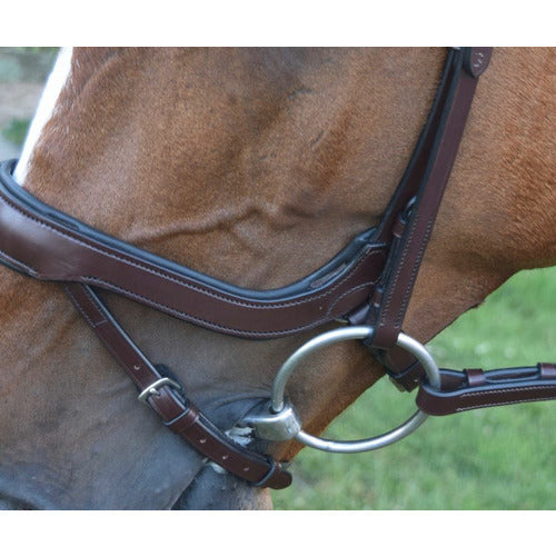 KL Select Red Barn Arena Ergonomic Bridle