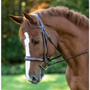 KL Select Red Barn Arena Ergonomic Bridle