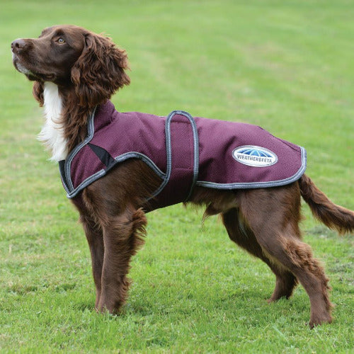 Weatherbeeta ComFiTec Premier Free Parka Deluxe Dog Coat FREE GIFT WITH PURCHASE