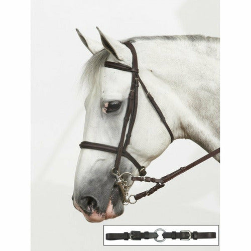 Ovation® Euro Bit Converter - CarouselHorseTack.com