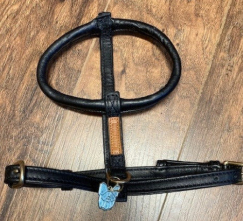 GENTLY USED- Shires Digby & Fox Rolled Leather Harness Black XSmall