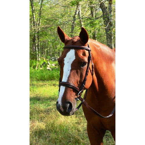 KL Select KL Italia Burghley Bridle