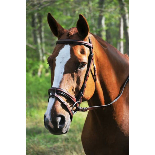 KL Select KL Italia Burghley Bridle