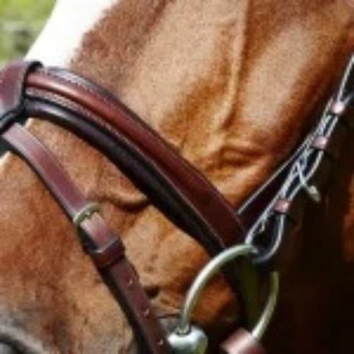 KL Select KL Italia Burghley Bridle