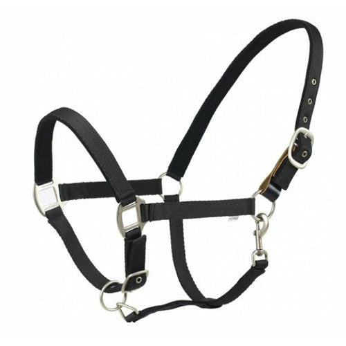 Centaur Solid Cushion Padded Breakaway Halter