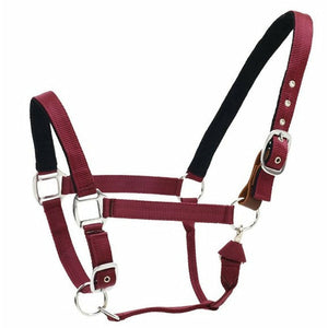 Centaur Solid Cushion Padded Breakaway Halter