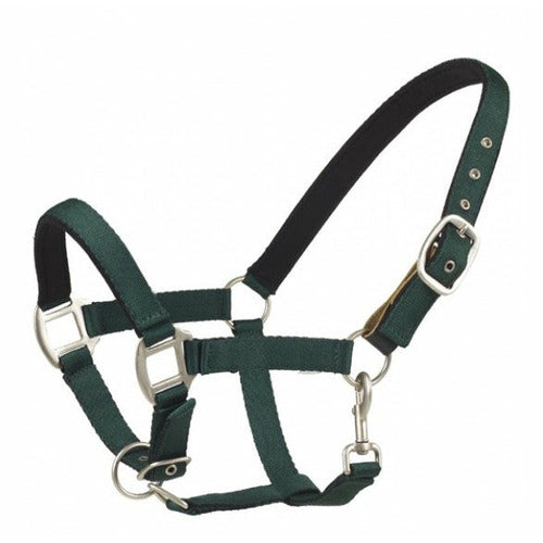 Centaur Solid Cushion Padded Breakaway Halter