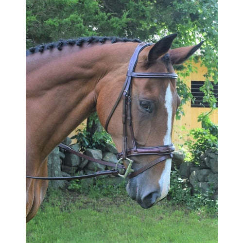 KL Select KL Italia Millbrook Bridle