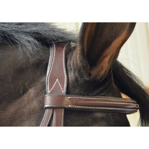 Black Oak by KL Select Cyprus Bridle