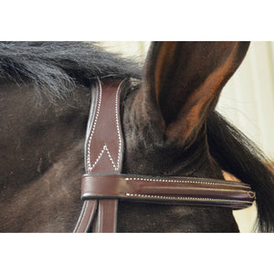 Black Oak by KL Select Cyprus Bridle