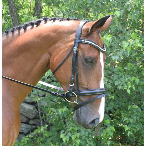 Black Oak by KL Select Magnolia Dressage Bridle