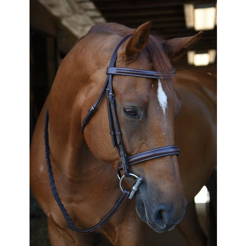 Black Oak by KL Select Poppy Bridle
