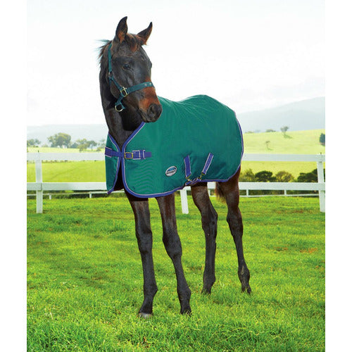 WeatherBeeta 1200D Foal Standard Neck Turnout Medium II CLOSEOUT
