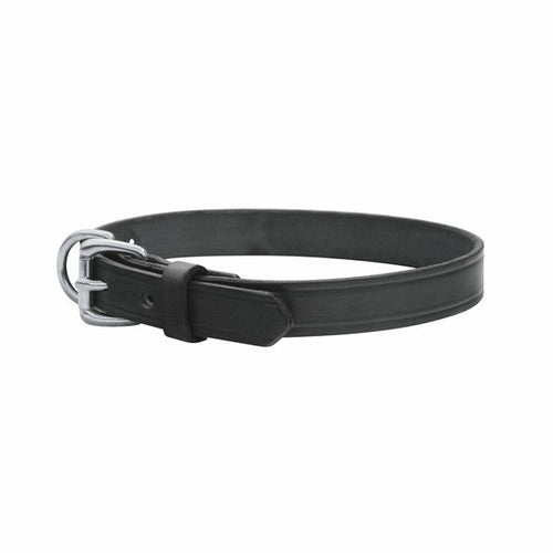 Perri's Leather Dog Collars - CarouselHorseTack.com