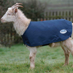 Weatherbeeta Deluxe Goat Coat